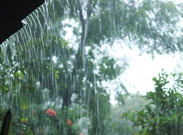 Previsão do Inmet para janeiro é de chuva em grande parte do País 1 A previsão é de chuva para grande parte do Brasil