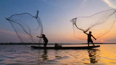 Brasil investe para fortalecer pesca e aquicultura 3 Brasil investe para fortalecer pesca e aquicultura