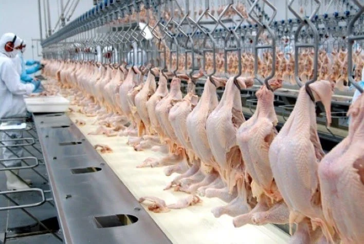 O governo brasileiro tomou conhecimento, com satisfação, da abertura do mercado butanês para as exportações brasileiras de carnes de aves
