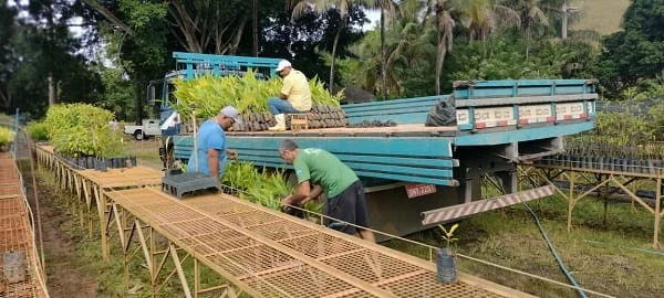 O Estado já contabiliza 17.173 análises de Cadastros Ambientais Rurais (CARs), com 191 já concluídas
