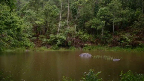 Unidades de conservação particulares contribuem para preservação de 113 mil hectares de mata em Minas 4 Unidades de conservação particulares contribuem para preservação de 113 mil hectares de mata em Minas