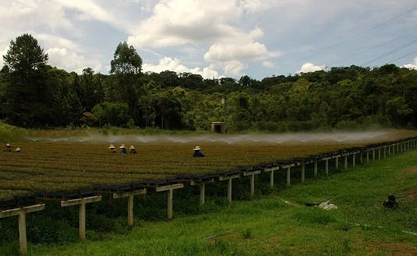 Usuários têm até o fim de março para fazer a Declaração Anual de Uso de Recursos Hídricos 1 O Instituto Mineiro de Gestão das Águas (Igam) irá disponibilizar em breve um sistema para que usuários façam a Declaração Anual