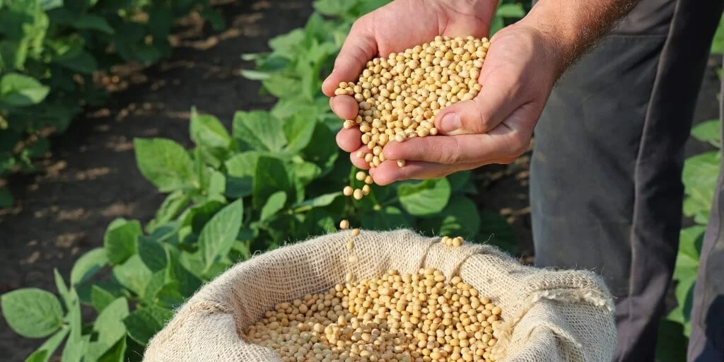 As alterações foram solicitadas pelo setor produtivo e agências estaduais