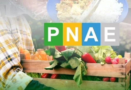 Programa Nacional de Alimentação Escolar (Pnae)