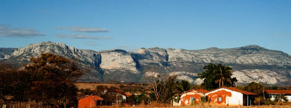 As Unidades de Conservação (UCs) gerenciadas pelo Instituto Estadual de Florestas de Minas Gerais (IEF-MG) registraram, ao longo de 2023,