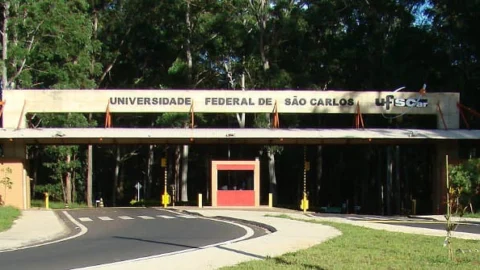 Pesquisadores desenvolvem esponja intravaginal para tratar candidíase 9 Pesquisadores desenvolvem esponja intravaginal para tratar candidíase
