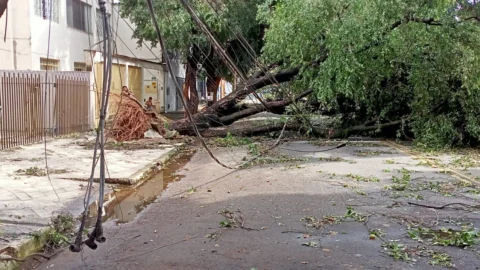 Sem luz e sem água. Valadares está um verdadeiro caos depois da chuva de sábado. 2 Sem luz e sem água. Valadares está um verdadeiro caos depois da chuva de sábado.