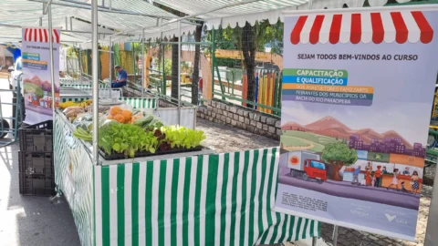 Reparação Brumadinho: fortalecimento da agricultura contribui com desenvolvimento econômico e qualidade de vida na região atingida
