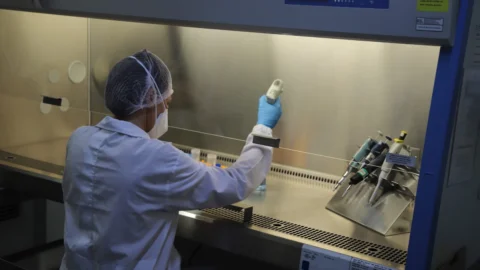 Com aportes de quase meio bilhão de reais, Governo de Minas executa investimento recorde pelo 2º ano consecutivo em ciência, tecnologia e inovação 6 Com aportes de quase meio bilhão de reais, Governo de Minas executa investimento recorde pelo 2º ano consecutivo em ciência, tecnologia e inovação