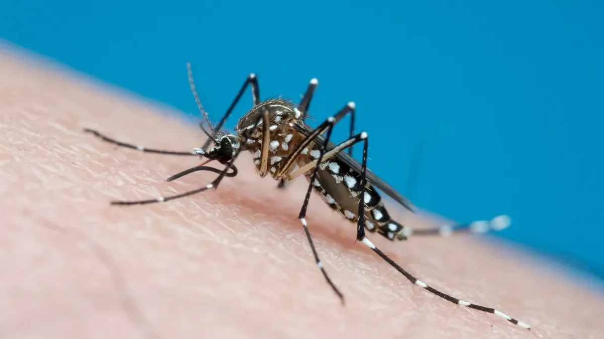 Profissionais do CCZ alertam colaboradores da sobre dengue 1 No último final de semana, o governo de Minas Gerais declarou situação de emergência em saúde pública em função do grande número de casos
