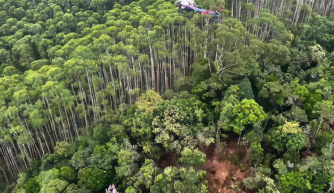 Helicóptero que caiu em Paraibuna bateu em vegetação antes da queda 1 O helicóptero que caiu em Paraibuna, no Vale do Paraíba, interior paulista, colidiu com a vegetação em área de mata do município