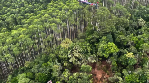 Helicóptero que caiu em Paraibuna bateu em vegetação antes da queda