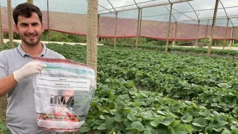 Agricultores familiares de Minas têm gratuidade na certificação de produtos 3 Agricultores familiares de Minas têm gratuidade na certificação de produtos