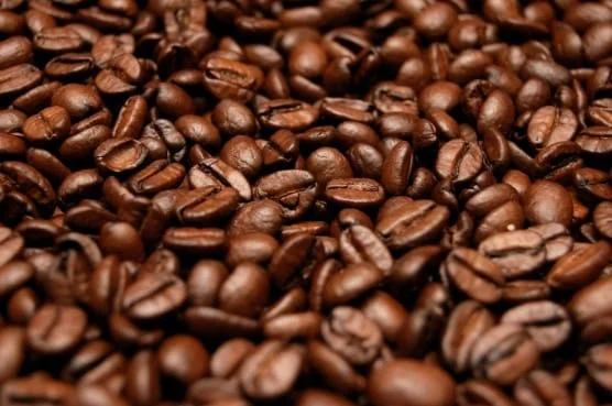 Epamig disponibiliza sementes de café de alta qualidade para produtores 1 A Empresa de Pesquisa Agropecuária de Minas Gerais (Epamig) iniciou a comercialização de sementes de café de alta qualidade nos Campos
