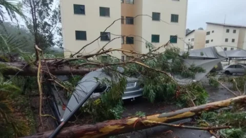 Chuvas deixam 4 mortos e 545 desabrigados no estado de São Paulo 6 Chuvas deixam 4 mortos e 545 desabrigados no estado de São Paulo