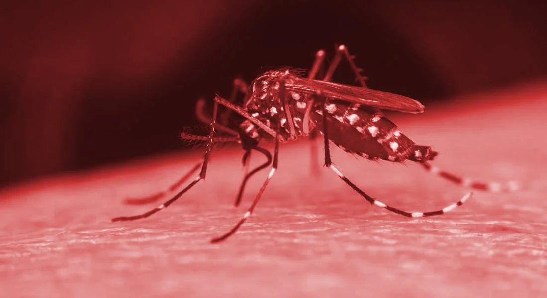Ministério da Saúde, estados e municípios unem esforços para ações de enfrentamento da dengue 1 Desde o ano passado, o Ministério da Saúde, estados e municípios estão em constante monitoramento e alerta quanto ao cenário epidemiológico