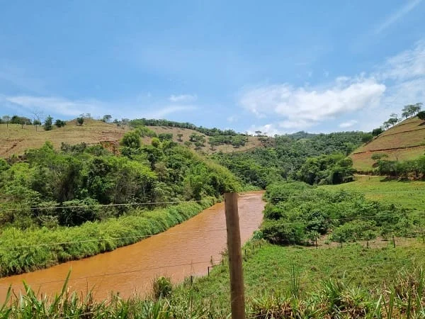 O Instituto Estadual de Florestas (IEF) divulgou o quinto edital de notificação de análises do Cadastro Ambiental Rural (CAR)