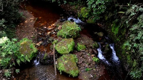 Governo de Minas amplia área de proteção ambiental da Estação Ecológica de Fechos