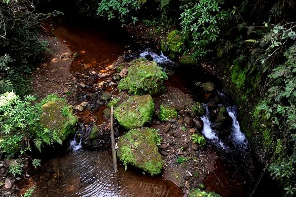Governo de Minas amplia área de proteção ambiental da Estação Ecológica de Fechos 1 O Governo de Minas Gerais publicou, na edição do Diário Oficial deste sábado (13/1), decreto que amplia a área de proteção ambiental