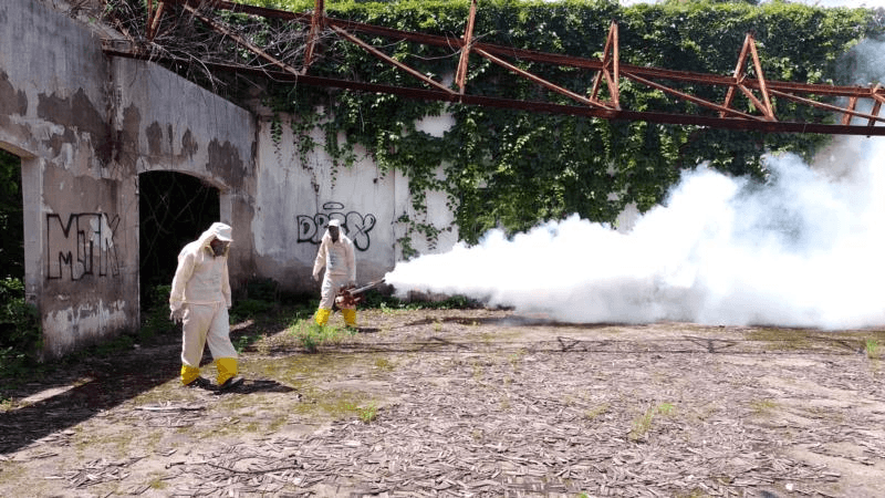 Ação conjunta de Secretarias Municipais combate focos da dengue em Timóteo 1 image 175
