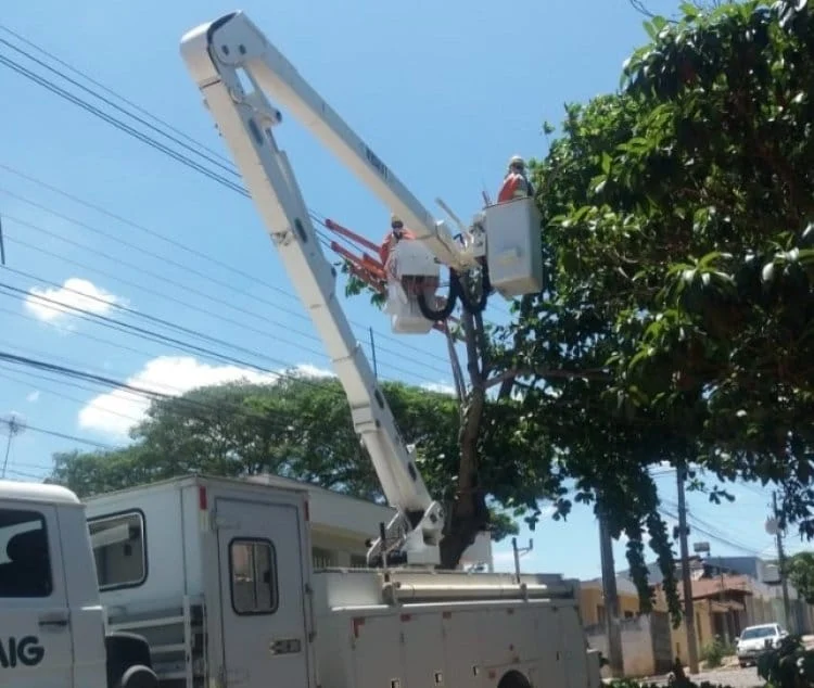 Destaques dos jornais e portais integrantes da Rede Sindijori MG 1 De acordo com a companhia, houve um aumento significativo no número de árvores podadas e serviços de manutenção (Cemig