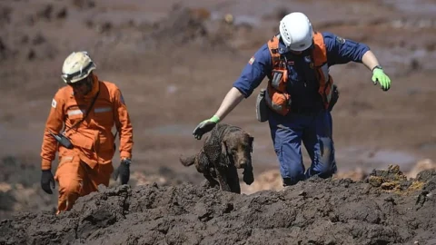 Brumadinho: "Acordo foi o melhor caminho", diz procurador 9 Brumadinho: “Acordo foi o melhor caminho”, diz procurador