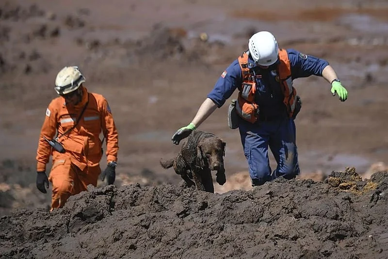 Brumadinho: "Acordo foi o melhor caminho", diz procurador 1 A instituição considera que passos importantes foram dados no último período