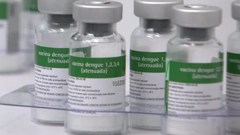 Governo vai definir estratégia de vacinação contra a dengue com estados e municípios 7 Governo vai definir estratégia de vacinação contra a dengue com estados e municípios