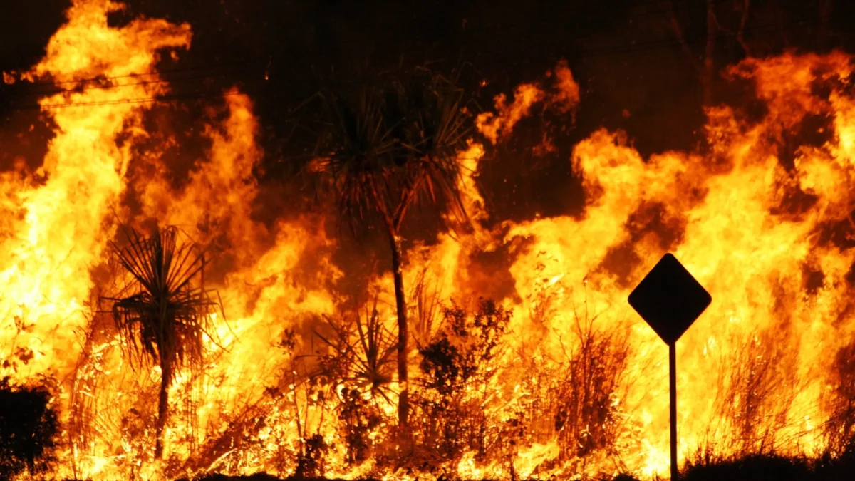 Diante desse cenário, eventos climáticos extremos se tornaram mais evidentes e frequentes