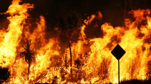 Serviço Geológico do Brasil tem papel essencial diante de desastres causados pela crise climática