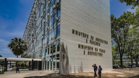 Agricultura terá 520 vagas no Concurso Nacional Unificado
