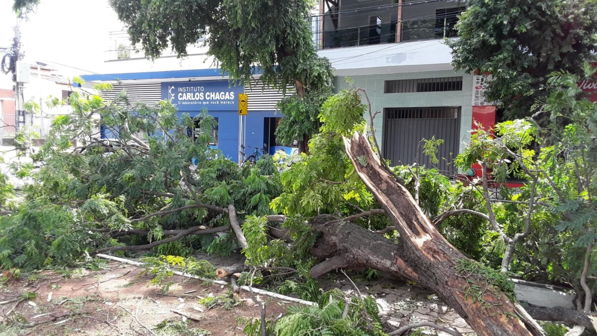 A tempestade que atingiu Governador Valadares no último sábado (20), destelhou casas, derrubou paredes e árvores, provocou a suspensão