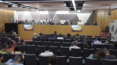 Limitação da saída temporária é elogiada em audiência