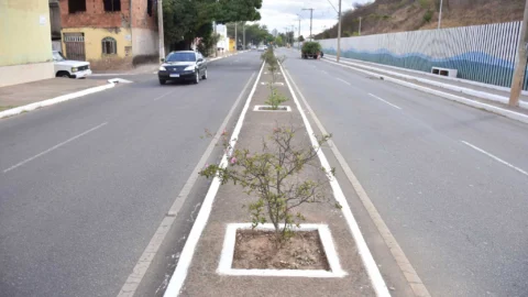 Rua Moacir Paleta será interditada para obras na próxima semana 8 Rua Moacir Paleta será interditada para obras na próxima semana