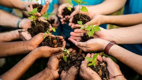 Meio Ambiente lança edital para contratação de serviços de sistema de gestão de dados de monitoramento ambiental 10 Meio Ambiente lança edital para contratação de serviços de sistema de gestão de dados de monitoramento ambiental