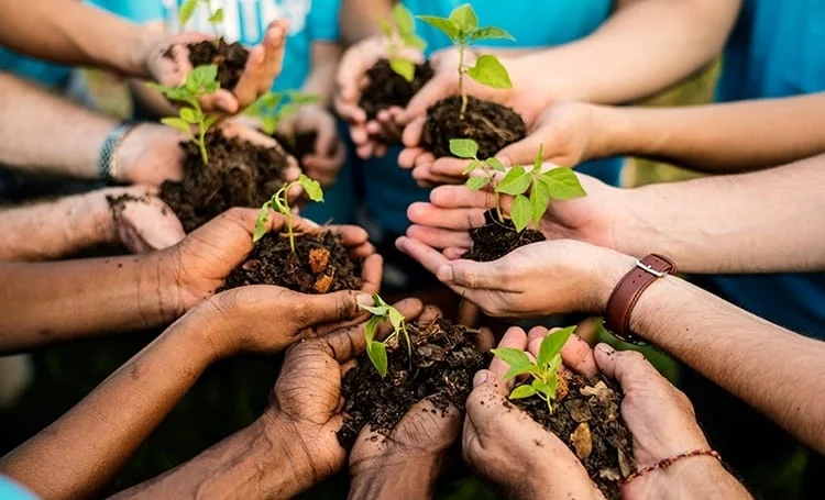 Meio Ambiente lança edital para contratação de serviços de sistema de gestão de dados de monitoramento ambiental 1 A Fundação Estadual do Meio Ambiente (Feam) lançou, no dia 29/12/2023, edital para contratação de serviços de sistema de gestão de dados