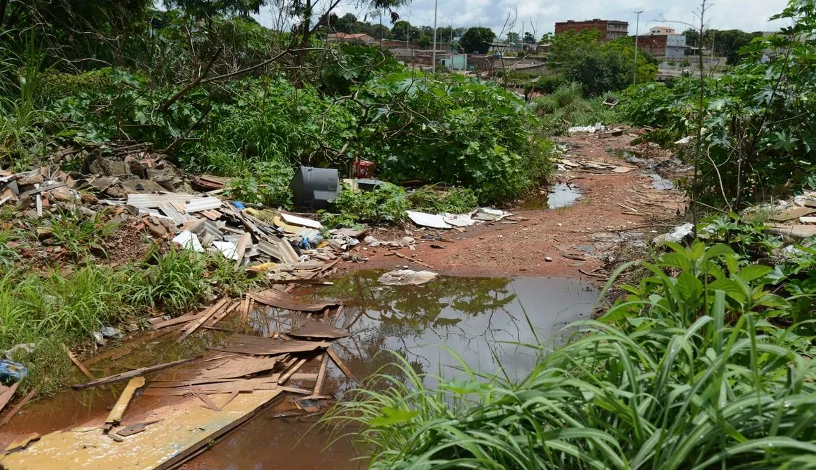 O Aedes aegypti contaminado acaba por transportar o larvicida aos criadouros, inclusive àqueles que não são localizados pelos moradores