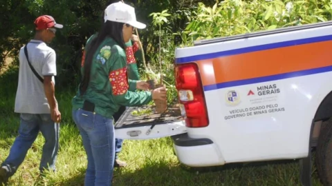 Plano Estratégico de Análise e municipalização do CAR vão impulsionar a regularização ambiental de imóveis rurais em MG 6 Plano Estratégico de Análise e municipalização do CAR vão impulsionar a regularização ambiental de imóveis rurais em MG