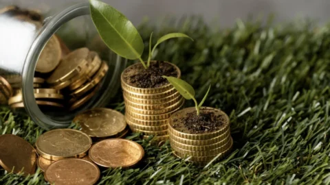 BID e Banco Central assinam termo para apoiar investimentos verdes 2 BID e Banco Central assinam termo para apoiar investimentos verdes