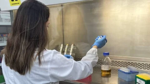 Ideias inovadoras tornam setor público e privado mais atrativos em Minas e alavancam desenvolvimento