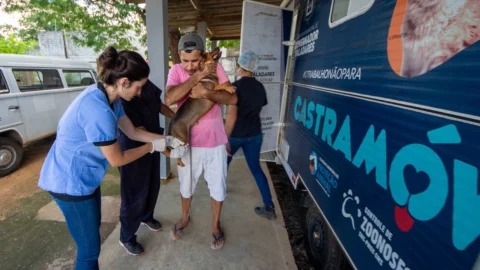 Prefeitura retoma castrações no CCZ de Valadares: segunda marcada por cirurgias