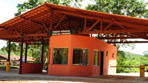 Parque Estadual da Mata do Limoeiro realiza 10ª edição do Ecofolia