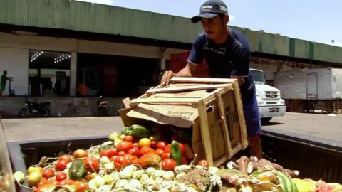 Pesquisa traz dicas sobre como reduzir desperdício de alimentos 3 Pesquisa traz dicas sobre como reduzir desperdício de alimentos