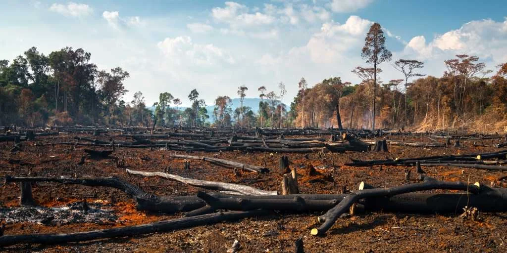 Meio Ambiente estadual reforça combate ao desmatamento em Minas 1 A agenda de fiscalização ambiental se firma a cada ano como instrumento fundamental no combate ao desmatamento em Minas Gerais