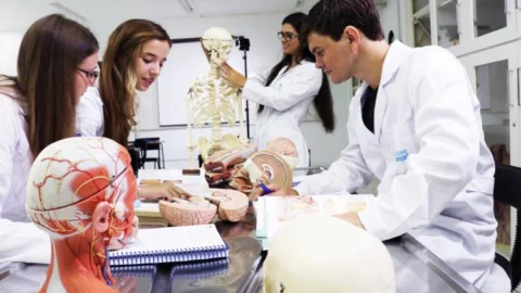 Edital para novos cursos de medicina é alterado 4 Edital para novos cursos de medicina é alterado