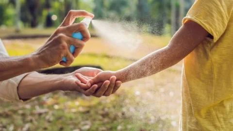 Rio: governo aplica repelente contra dengue em foliões, no Sambódromo
