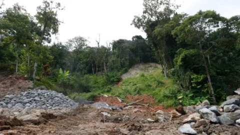 SP: chuva forte faz sirene de evacuação ser acionada em São Sebastião 2 SP: chuva forte faz sirene de evacuação ser acionada em São Sebastião