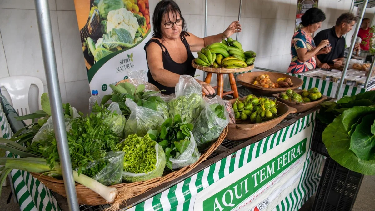 11ª edição da Feira da Agricultura Familiar acontece nesta quinta (7) 1 A feira acontece no Espaço Democrático José Aparecido de Oliveira
