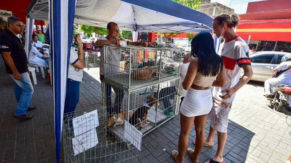 Primeira feira de adoção de animais 2024 foi um sucesso 1 Para adotar um animal é preciso ter 18 anos ou mais. O CCZ funciona de segunda à sexta-feira, das 7 às 11 horas e das 13 às 17 horas