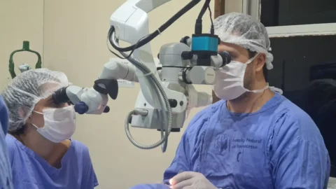 No Rio, 75% das córneas transplantadas em 2023 vieram do Into 2 No Rio, 75% das córneas transplantadas em 2023 vieram do Into